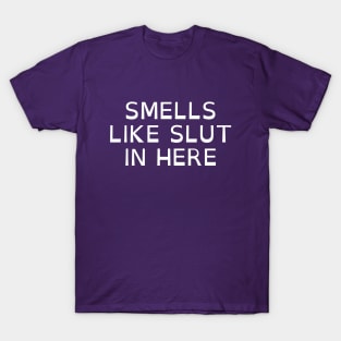 Smells Like Slut In Here Offensive Funny-Adult Humor T-Shirt